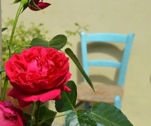 Oda ve Kahvaltı Lady Cocca 3*