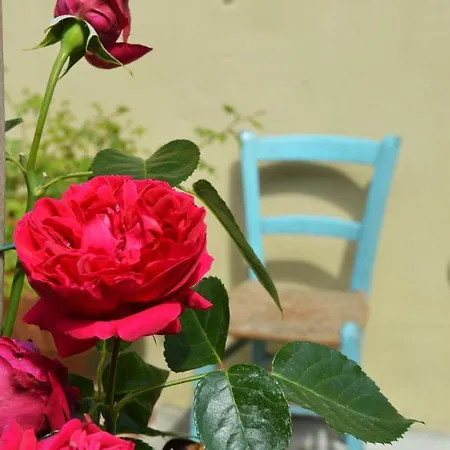 B&B Lady Cocca 3*