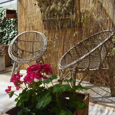 Panzió Lady Cocca Savio di Ravenna