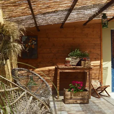 Lady Cocca 3* Savio di Ravenna