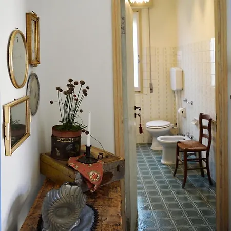 Lady Cocca 萨维奥迪拉韦纳