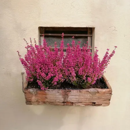 Lady Cocca B&B 사비오 디 라벤나