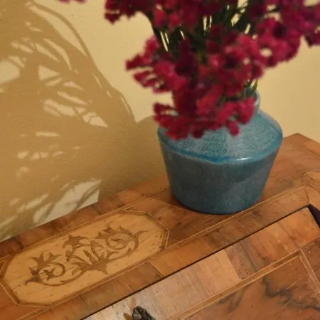 Lady Cocca 사비오 디 라벤나