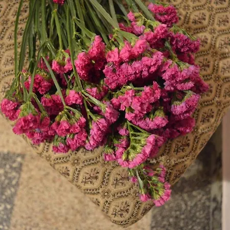 לינה וארוחת בוקר Lady Cocca סאביו די רוונה