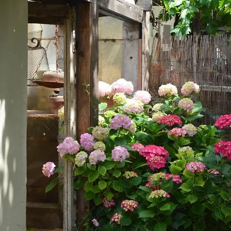 Lady Cocca 3* 사비오 디 라벤나