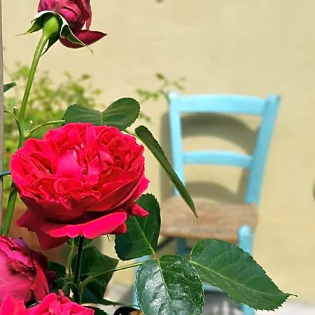Lady Cocca B&B