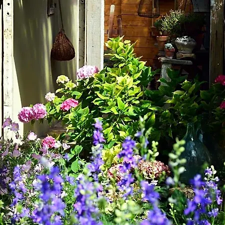 Lady Cocca B&B