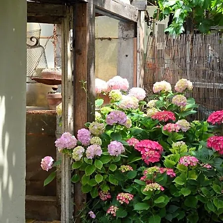 Lady Cocca B&B 3*