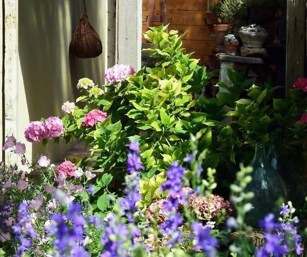 Lady Cocca 3* Savio di Ravenna