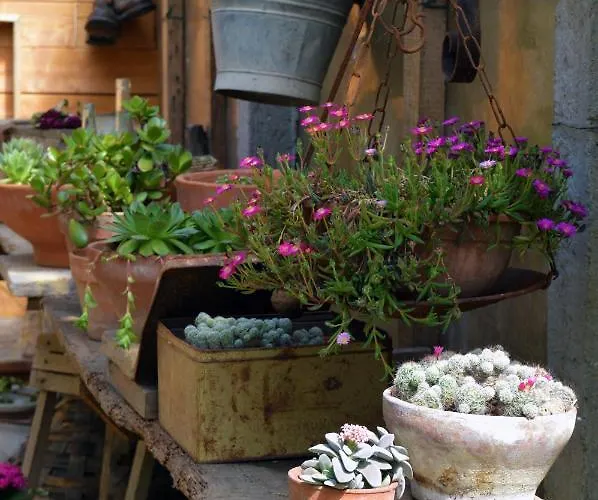 Lady Cocca Savio di Ravenna