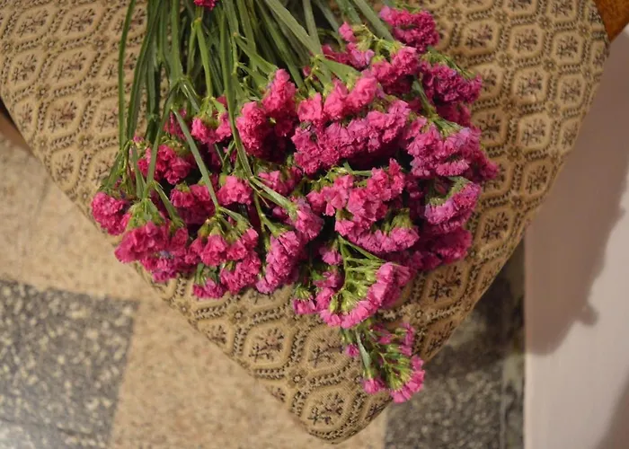 Bed & Breakfast Lady Cocca Savio di Ravenna