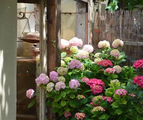 Lady Cocca 3* Savio di Ravenna